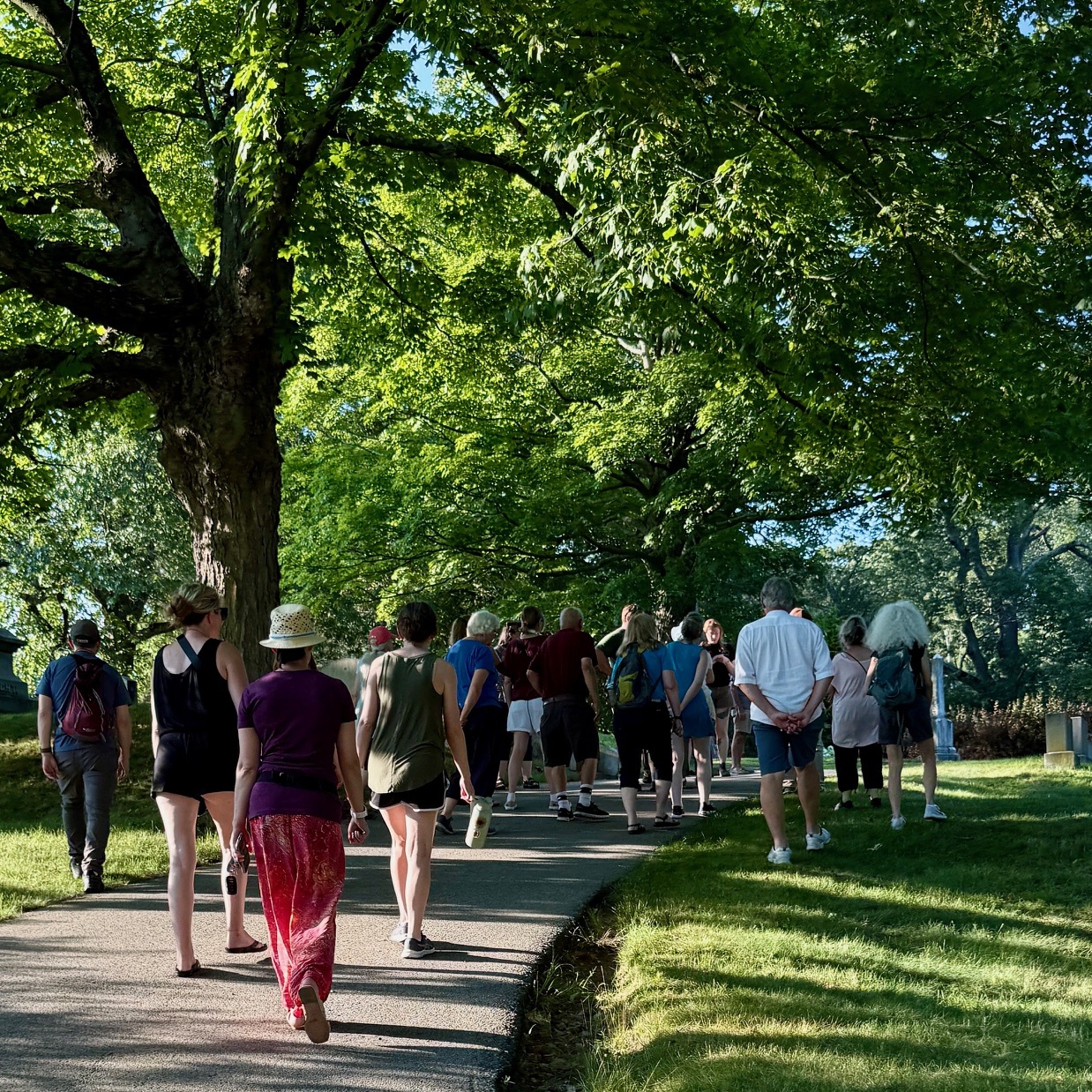 2026 Tree ID Walk at the Lowell Cemetery () - logo